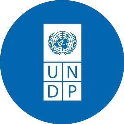 شعوب متمكنة، أمم صامدة -الحساب الرسمي لبرنامج الأمم المتحدة الإنمائي في المنطقة العربية. UNDP official account in the Arab States