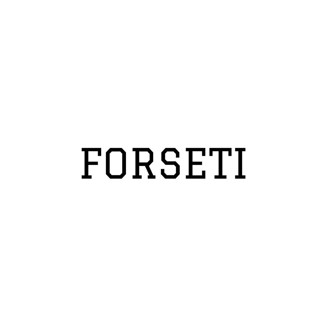 FORSETI is a new brand for designing luggage and related protective devices . 👇🏻Kickstarter crowdfunding campaign🙏🏻 Thanks for your support✨