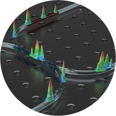 UFOlaser lab is studying Ultrafast Fibre Optics to offer advanced laser systems for range of bio applications. Headed by @MAChernysheva at @Leibniz_IPHT