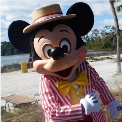 Mickeyさんのプロフィール画像