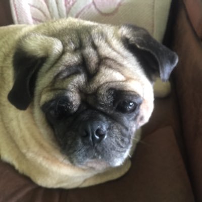 NanaMon17706153's profile picture. Me and me only