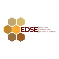 EDSEprogramme (@edse_programme) 's Twitter Profile