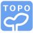 topo_sol