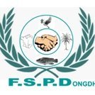 FSPD-ONGDH(@FspdRdc) 's Twitter Profile Photo