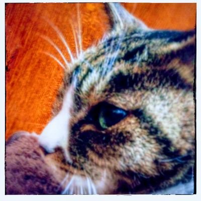 shizumutsuki's profile picture. 嫌われ者の僕らでいようね/バンドと演劇と漫画/俳優の高畑亜実さんを応援しています👠👠