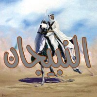 إخبارية النبيجان (@alnebigan) 's Twitter Profile Photo