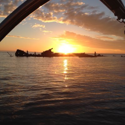 AmandaJLMC's profile picture. 