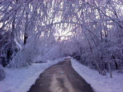 easygoingcple3's profile picture. NW Michigan couple, FAR FROM D-town. He loves when she flirts with younger men. Empty, protected, retweet only profile = no reply.