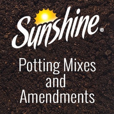 @sunshinemixes