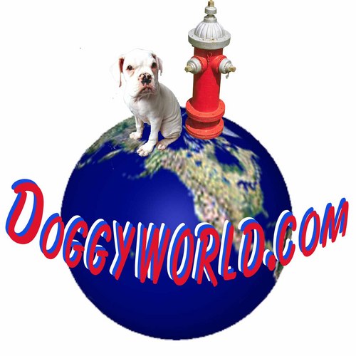 http://t.co/ZjEjlb3c stop by take a look at all our new products, dog training tips, all natural dog treat recipes, funny dog quotes. http://t.co/ZjEjlb3c