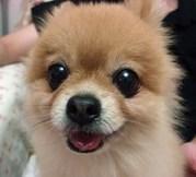 Panさんのプロフィール画像