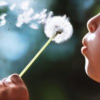 Child and Family Health Promotion Lab (@cfhplab) 's Twitter Profile
