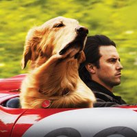 Art of Racing Movie (@theartofracing) 's Twitter Profile