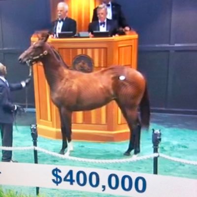 TrumpGuruToYou's profile picture. #WeThePeoplesPeople All Live in #TrumpvilleUSA2024 🇺🇸