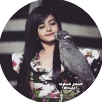 الـجـادل الـطرقـا (@hhs661) Twitter profile photo