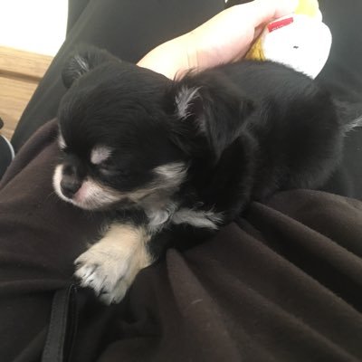 mipohtomoh's profile picture. 