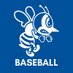 St. Ambrose University Baseball (@AmbroseBaseball) Twitter profile photo