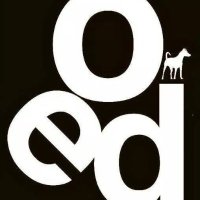 The One Eyed Dog (@oedsouthsea) 's Twitter Profile
