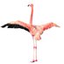 The_Flamingo_Has_Landed (@paulalauriano) Twitter profile photo The_Flamingo_Has_Landed (@paulalauriano) Twitter profile photo