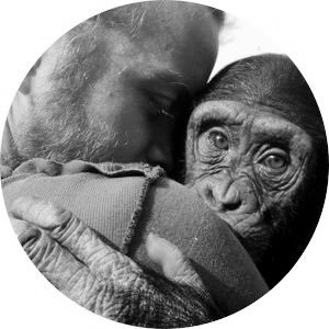 hoschibern's profile picture. It’s me☺️…Technician from @WitschiAG …In ❤️ with @Barbarabrulhart, like to travel..Play soccer, ride bikes, free bird & love my life✌️