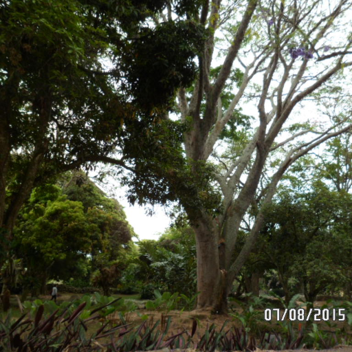 abdulhamid531's profile picture. Me gusta el Sexo con Madur@s, soy de mente abierta, bisex, versatil, MHM, HMH, HTvH, HtvM, me encanta un buen 69, fetichista de las tetillas, 178, 110 kls.