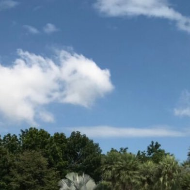 tfcvgy77's profile picture. 