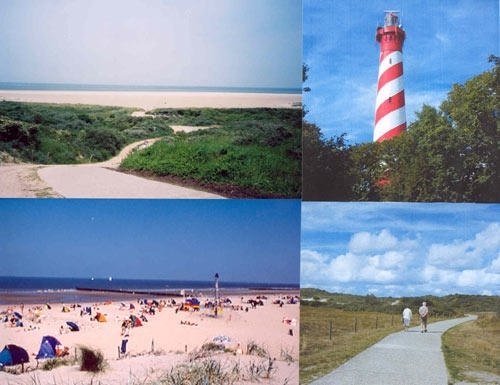 apptduinkonijn's profile picture. 