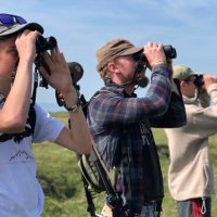 Bangor University Ornithological Society (@bangorbirdsoc) 's Twitter Profile
