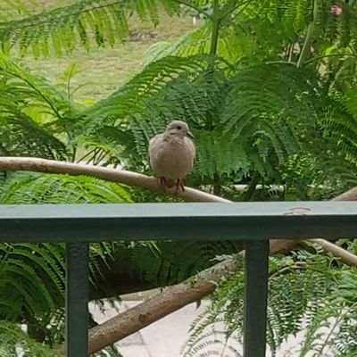 lagrietalopez's profile picture. Viviendo lo peor de la historia democrática argentina