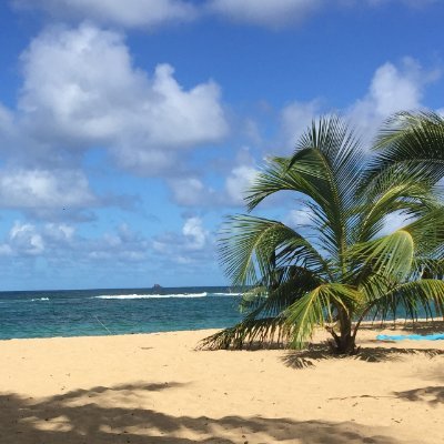 missheyer74's profile picture. Romance author for Harlequin and others. Escaped regular life to sail the Caribbean and write. Bucket list accomplished! She/her. pitsquirrel https://t.co/vwSDrFXXOn