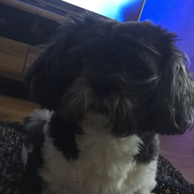 leewrig42812440's profile picture. 