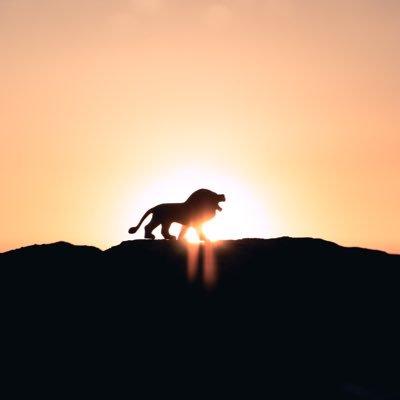 dimitri_the_fab's profile picture. 