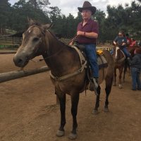 Warren Nelson (@wnelson193) 's Twitter Profile