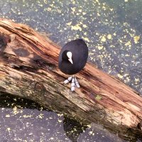 lifeisbeautiful 💙 (@intensegasser) 's Twitter Profile