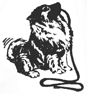 properpupsd's profile picture. We specialize in dog obedience training for dogs and their owners. Group and private classes available. Find us on Facebook or e-mail us for more information.