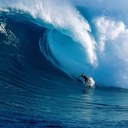 Ines Young - @ines_young - Twitter