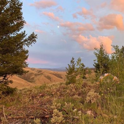 MrsHSchmit's profile picture. 