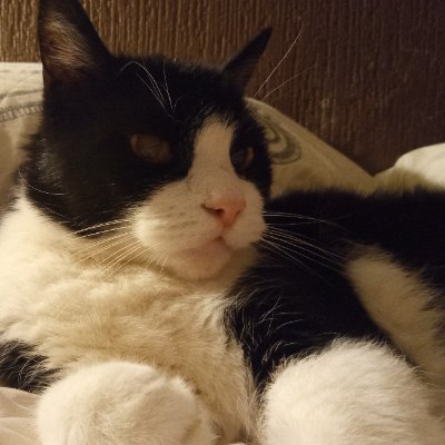 TamaraHaworth7's profile picture. Just a very adequate artist 😊
https://t.co/ntKzbGn8FG
I mainly post on Instagram ☺️💖