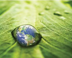 GlobalGreenForx's profile picture. Global Green Forex is a privately owned money management firm, specializing in foreign exchange currency trading.