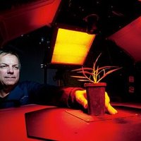 @BobFurbank (@bobfurbank) 's Twitter Profile