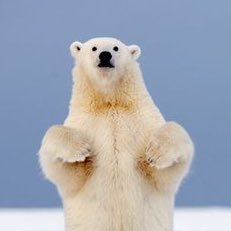 TrueNorthWUSC's profile picture. WUSC-FM & HD-1 Columbia • Left on the dial, right in your ear. Listen on 90.5FM in Columbia or online wherever you are.