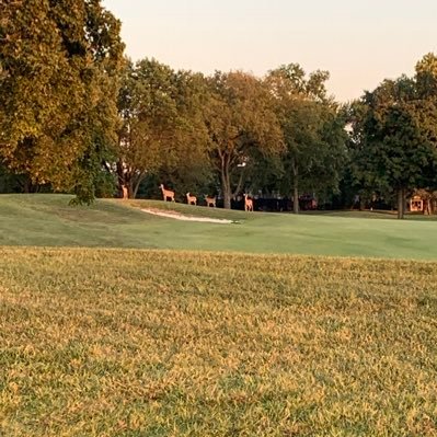 longhi18's profile picture. 