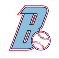 Ballistic Baseball (@ballisticbball) 's Twitter Profile