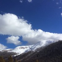 Allison Lee (@aleespring) 's Twitter Profile
