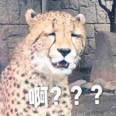 Aaron16400745's profile picture. 