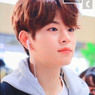 Distorted Seungmin ãƒ„ On Twitter Seungmin Is The Most Normal One In Stray Kids Seungmin