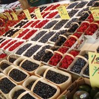 Jim Rossen (@rossenjim) 's Twitter Profile