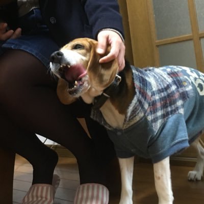 hayanoli's profile picture. 2005 / 2 / 14〜2022 / 1 / 28🌈ハル