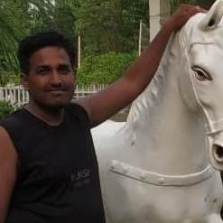 Amrendr96048137's profile picture. Ok