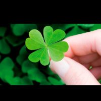 Maharajan Raju (@rajumaharajan) 's Twitter Profile Photo